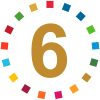6 6